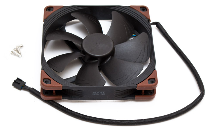 Noctua