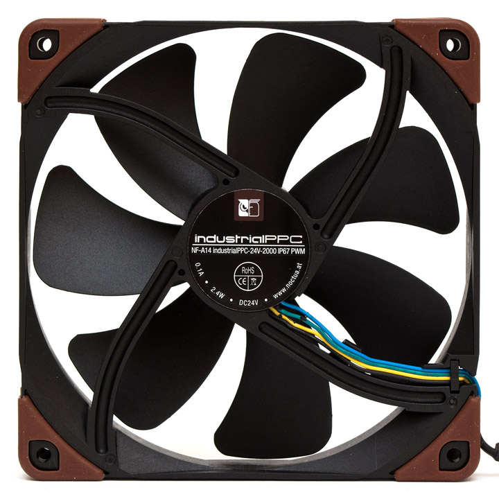 Noctua