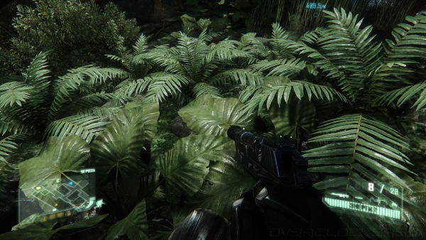 Crysis 3