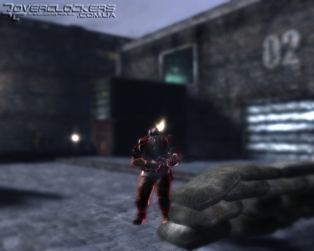 Dark Sector