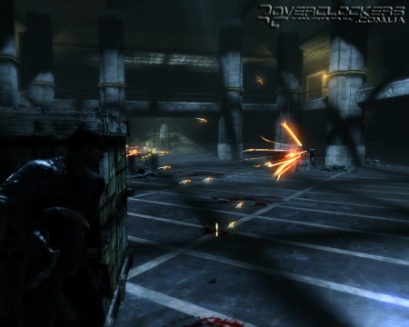 Dark Sector