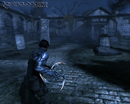 Dark Sector