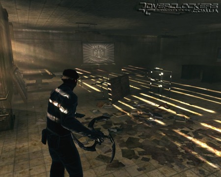 Dark Sector