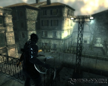 Dark Sector