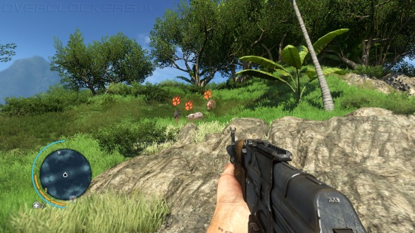 Far Cry 3