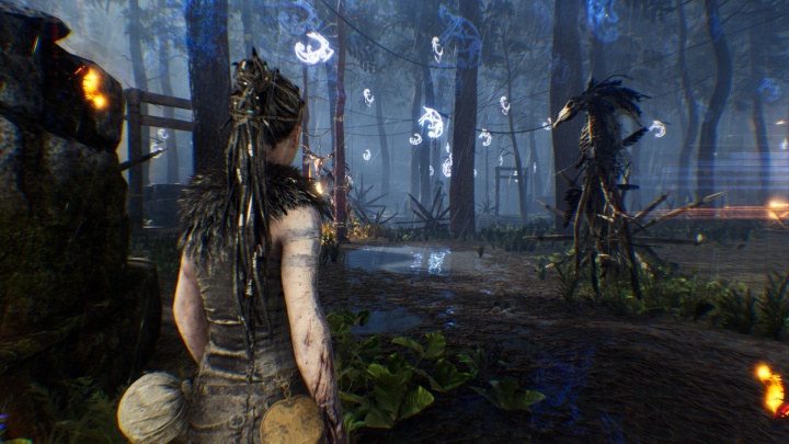 Hellblade: Senua's Sacrifice