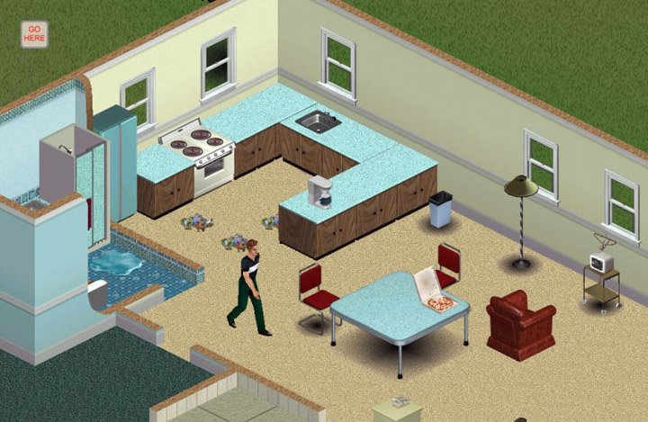 The Sims