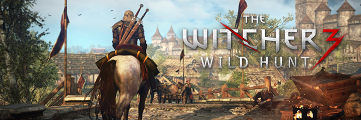 27 witcher 3 wild hunt