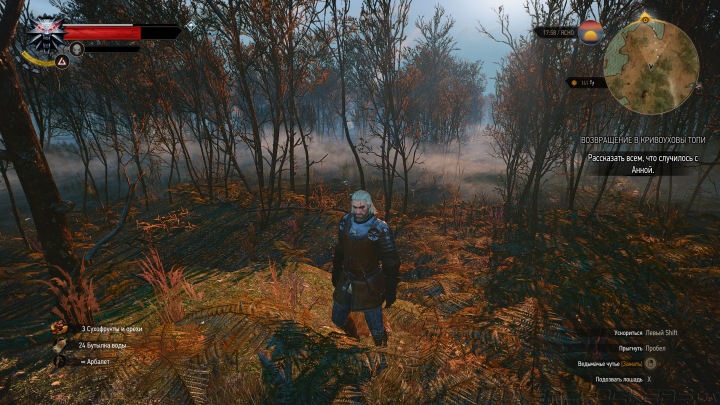 Тестирование в The Witcher 3: Wild Hunt