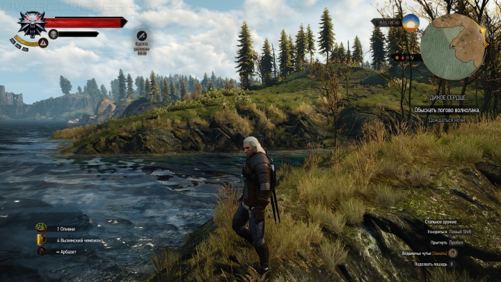 Тестирование в The Witcher 3: Wild Hunt