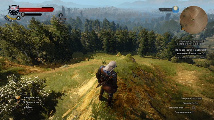 Тестирование в The Witcher 3: Wild Hunt