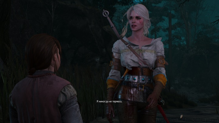 Witcher 3