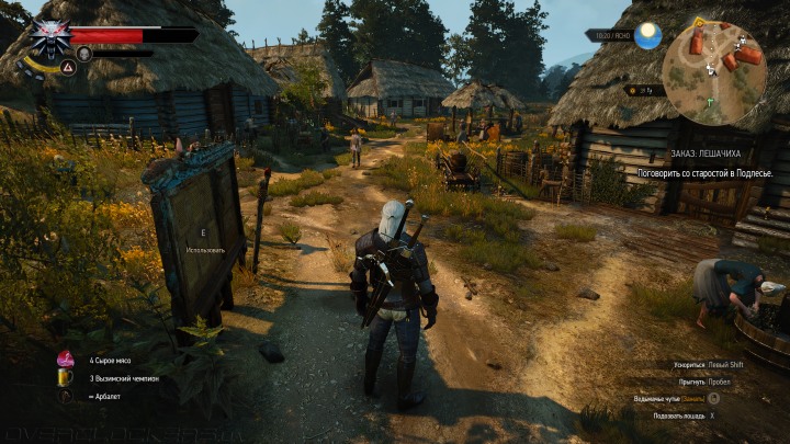 Witcher 3