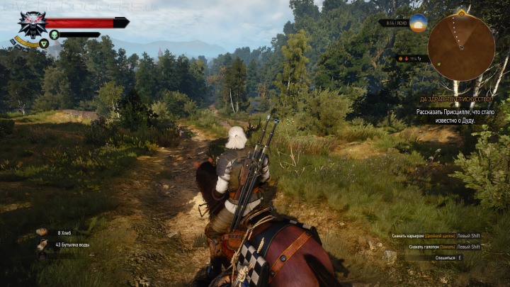 Witcher 3