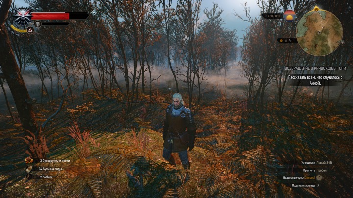 Witcher 3