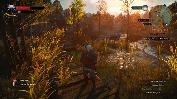 Witcher 3