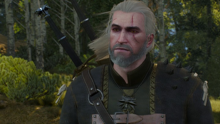 Witcher 3