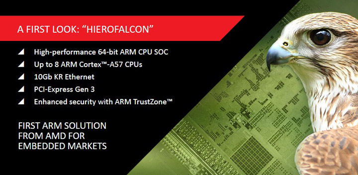 AMD Hierofalcon