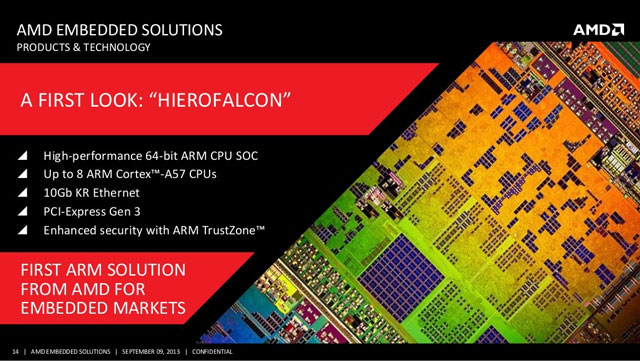 AMD Hierofalcon