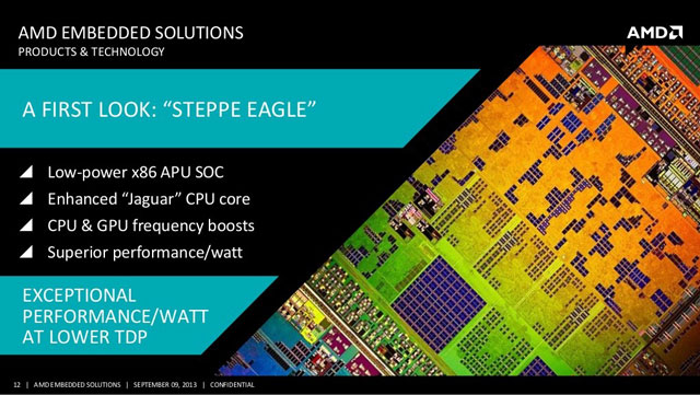 AMD Steppe Eagle