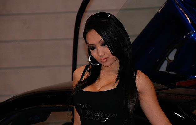 booth babes на выставке CES 2011