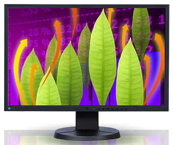 Монитор Eizo FlexScan EV2216W