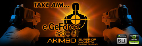 e-GeForce 8800GT AKIMBO