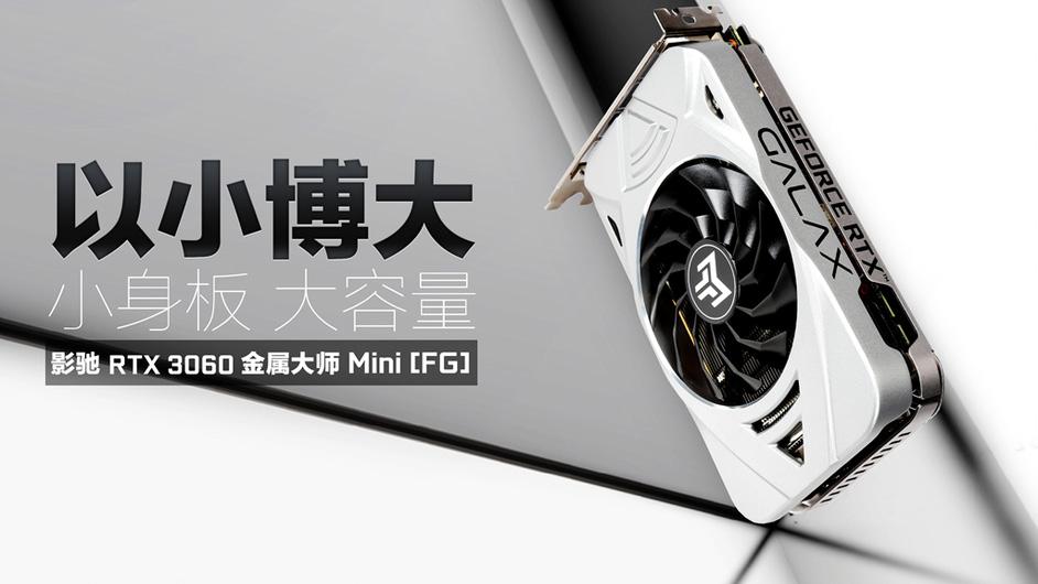 GeForce RTX 3060 Metaltop Mini (FG)