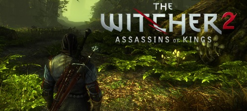 Witcher 2: The Assassins of Kings