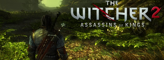 Witcher 2: The Assassins of Kings