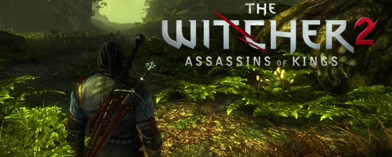 Witcher 2: The Assassins of Kings